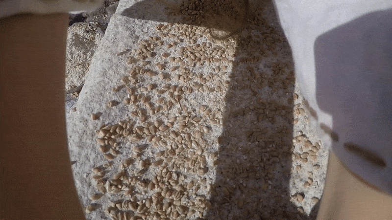 co-se-lidem-v-praveku-delo-se-zuby/pic-05-800w.gif